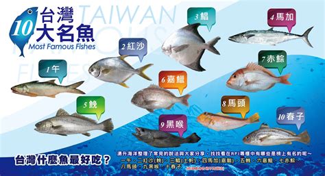 台灣魚排名|台灣好魚10大排行榜！鯧魚第三、紅沙第二，冠軍竟然是...